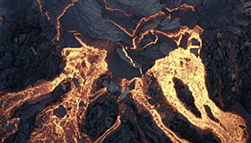 Thumbnail for Terre, les forces du vivant