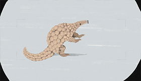 Thumbnail for Karambolage - Espagne - La grippe espagnole