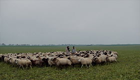 Thumbnail for Unhappy - Happiness and Habitat