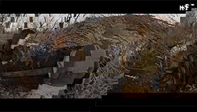 Thumbnail for ARTE Reportage - Ukraine : fixeurs de guerre, les invisibles du reportage