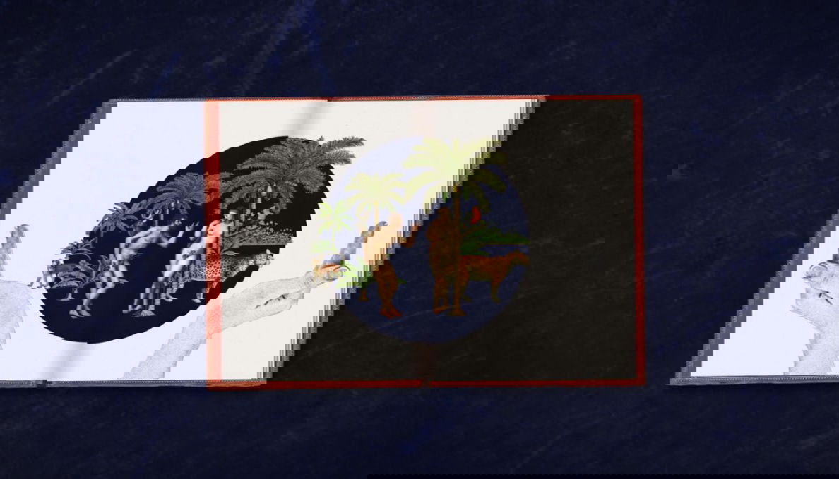 Thumbnail for Approches sensibles de la Nature