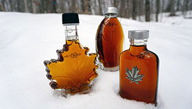 Thumbnail for 360° Reportage - Canada, le pays du sirop d’érable